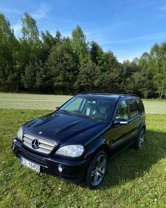 Mercedes-Benz ML cena 38500 przebieg: 242465, rok produkcji 2003 z Wolbrom małe 254